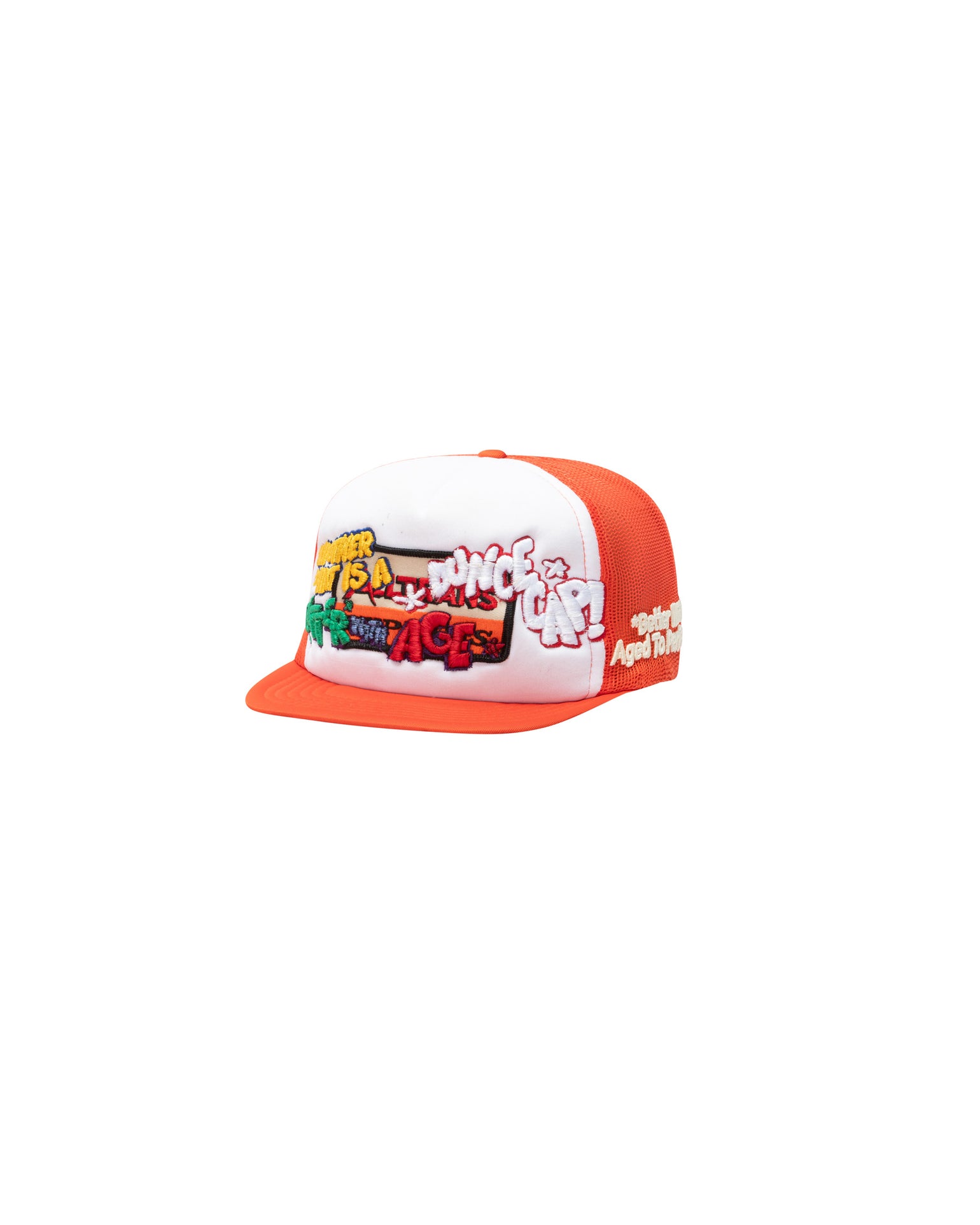 BWA-DUNCE-VINTAGE-HAT.jpg Bwa Dunce Vintage Hat - Image 1